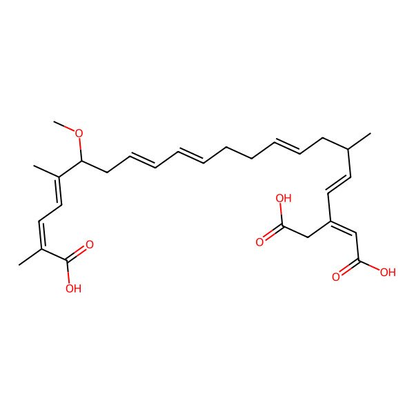 2D Structure of (2E,4E,6R,8Z,10E,14E,17S,18E,20Z)-20-(carboxymethyl)-6-methoxy-2,5,17-trimethyldocosa-2,4,8,10,14,18,20-heptaenedioic acid