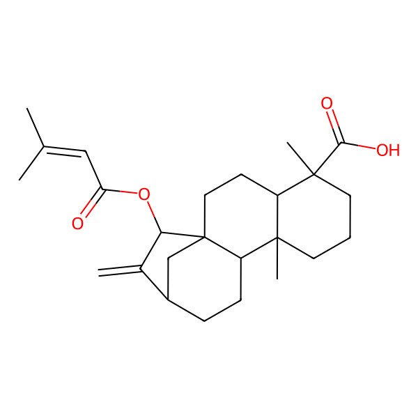 2D Structure of (1R,4S,5R,9S,10S,13R,15R)-5,9-dimethyl-15-(3-methylbut-2-enoyloxy)-14-methylidenetetracyclo[11.2.1.01,10.04,9]hexadecane-5-carboxylic acid