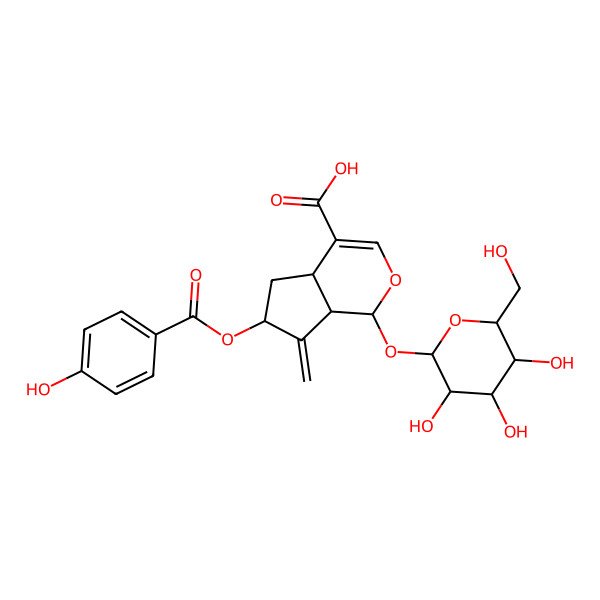 2D Structure of (1S,4aS,6S,7aS)-6-(4-hydroxybenzoyl)oxy-7-methylidene-1-[(2S,3R,4S,5S,6R)-3,4,5-trihydroxy-6-(hydroxymethyl)oxan-2-yl]oxy-4a,5,6,7a-tetrahydro-1H-cyclopenta[c]pyran-4-carboxylic acid