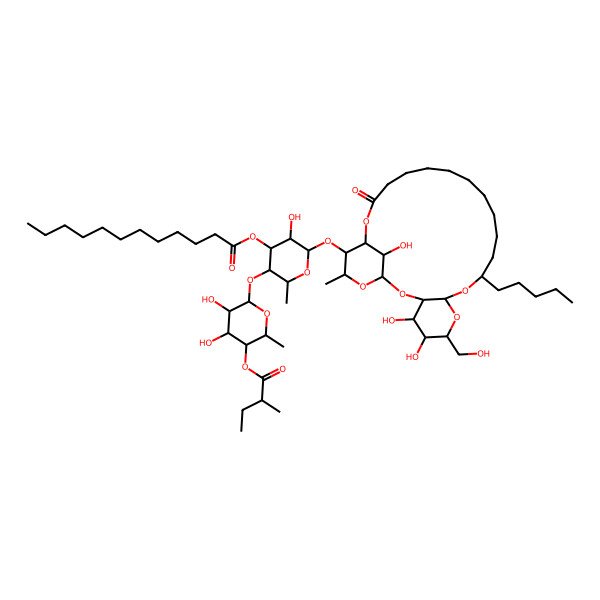 2D Structure of [(2S,3S,4S,5R,6S)-3-[(2S,3R,4S,5R,6S)-3,4-dihydroxy-6-methyl-5-[(2S)-2-methylbutanoyl]oxyoxan-2-yl]oxy-5-hydroxy-2-methyl-6-[[(1S,3R,4S,5S,6R,8R,10S,22S,23S,24S,26R)-4,5,26-trihydroxy-6-(hydroxymethyl)-24-methyl-20-oxo-10-pentyl-2,7,9,21,25-pentaoxatricyclo[20.3.1.03,8]hexacosan-23-yl]oxy]oxan-4-yl] dodecanoate