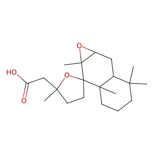 2D Structure of 2-[(1aR,2'S,2aS,6aS,7S,7aR)-2',3,3,6a,7a-pentamethylspiro[1a,2,2a,4,5,6-hexahydronaphtho[2,3-b]oxirene-7,5'-oxolane]-2'-yl]acetic acid