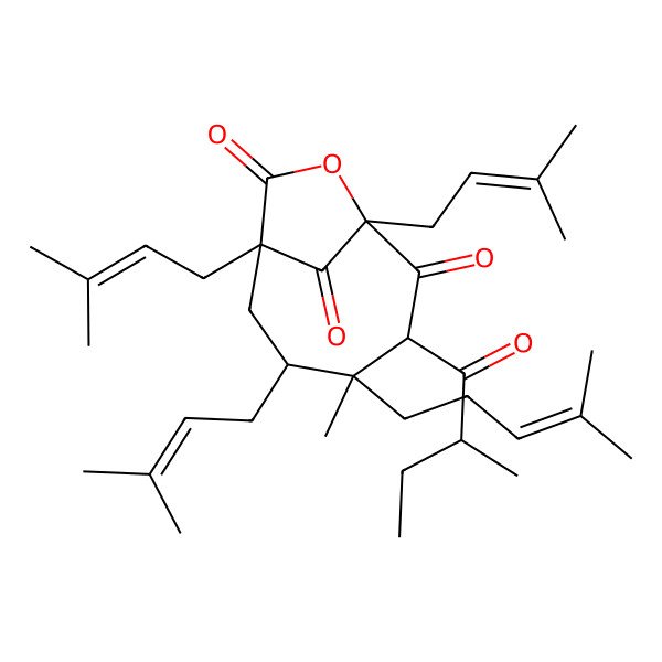 2D Structure of (1R,3S,4R,5R,7S)-4-methyl-5-(2-methylbutanoyl)-1,3,7-tris(3-methylbut-2-enyl)-4-(4-methylpent-3-enyl)-8-oxabicyclo[5.2.1]decane-6,9,10-trione