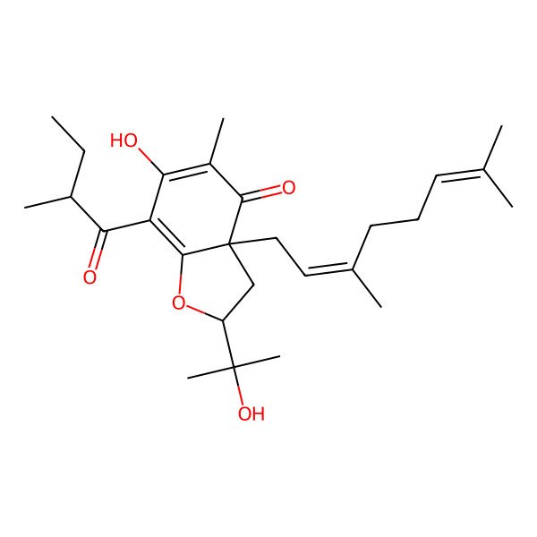 2D Structure of (2S,3aS)-3a-[(2E)-3,7-dimethylocta-2,6-dienyl]-6-hydroxy-2-(2-hydroxypropan-2-yl)-5-methyl-7-[(2R)-2-methylbutanoyl]-2,3-dihydro-1-benzofuran-4-one