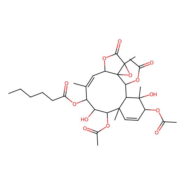 2D Structure of [(1S,2R,3S,4S,5R,8R,9R,10R,11S,12Z,14S,17R)-2,5,9-triacetyloxy-4,10-dihydroxy-4,8,12,17-tetramethyl-16-oxo-15,18-dioxatetracyclo[12.4.0.01,17.03,8]octadeca-6,12-dien-11-yl] hexanoate