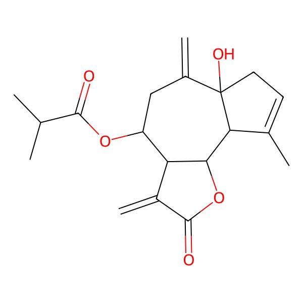 2D Structure of [(3aR,4R,6aS,9aR,9bS)-6a-hydroxy-9-methyl-3,6-dimethylidene-2-oxo-3a,4,5,7,9a,9b-hexahydroazuleno[4,5-b]furan-4-yl] 2-methylpropanoate