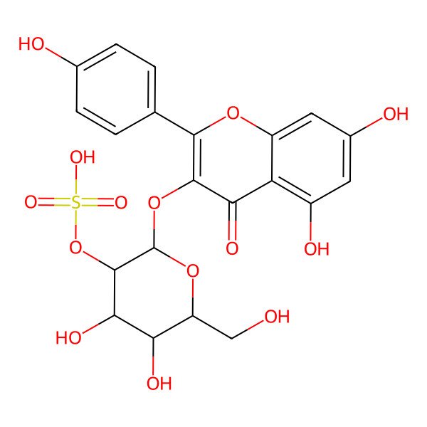 2D Structure of [(2S,4S,5R)-2-[5,7-dihydroxy-2-(4-hydroxyphenyl)-4-oxochromen-3-yl]oxy-4,5-dihydroxy-6-(hydroxymethyl)oxan-3-yl] hydrogen sulfate