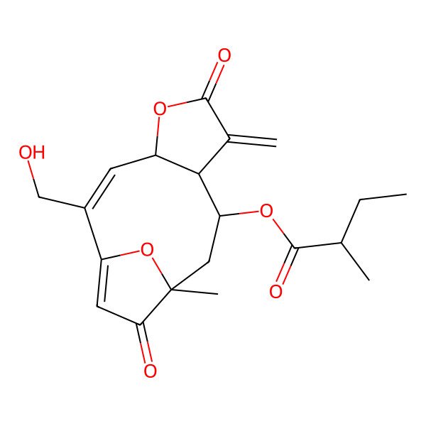 2D Structure of [(2Z,4R,8R,9S,11R)-2-(hydroxymethyl)-11-methyl-7-methylidene-6,12-dioxo-5,14-dioxatricyclo[9.2.1.04,8]tetradeca-1(13),2-dien-9-yl] (2R)-2-methylbutanoate