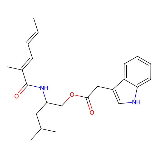 2D Structure of Dichotomocej D