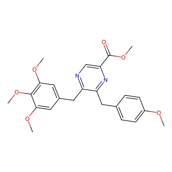 2D Structure of Dichotomocej E