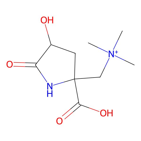 2D Structure of Dysibetaine