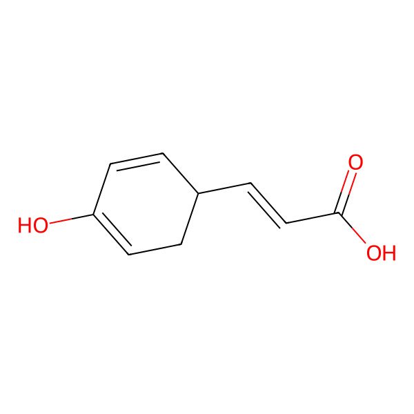 2D Structure of (E)-3-(4-hydroxycyclohexa-2,4-dien-1-yl)prop-2-enoic acid