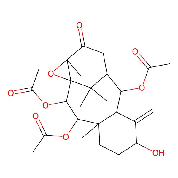 2D Structure of (2,3-Diacetyloxy-7-hydroxy-4,14,16,16-tetramethyl-8-methylidene-13-oxo-15-oxatetracyclo[9.4.1.01,14.04,9]hexadecan-10-yl) acetate