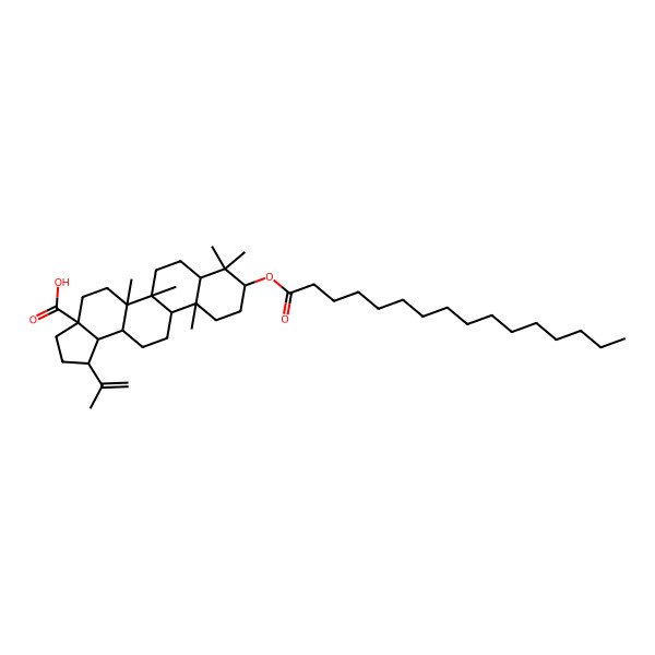 2D Structure of 9-Hexadecanoyloxy-5a,5b,8,8,11a-pentamethyl-1-prop-1-en-2-yl-1,2,3,4,5,6,7,7a,9,10,11,11b,12,13,13a,13b-hexadecahydrocyclopenta[a]chrysene-3a-carboxylic acid