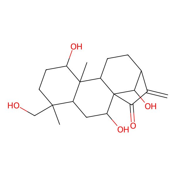 2D Structure of 2,8,16-Trihydroxy-5-(hydroxymethyl)-5,9-dimethyl-14-methylidenetetracyclo[11.2.1.01,10.04,9]hexadecan-15-one