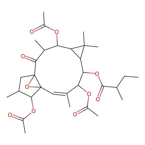 2D Structure of [(1R,3R,4R,5R,7S,8S,9R,10E,12S,13S,14S)-4,9,13-triacetyloxy-3,6,6,10,14-pentamethyl-2-oxo-16-oxatetracyclo[10.3.1.01,12.05,7]hexadec-10-en-8-yl] (2R)-2-methylbutanoate