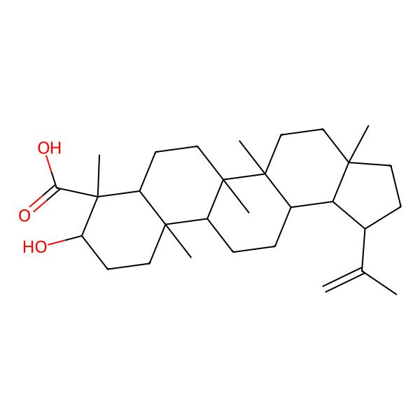 2D Structure of 9-Hydroxy-3a,5a,5b,8,11a-pentamethyl-1-prop-1-en-2-yl-1,2,3,4,5,6,7,7a,9,10,11,11b,12,13,13a,13b-hexadecahydrocyclopenta[a]chrysene-8-carboxylic acid