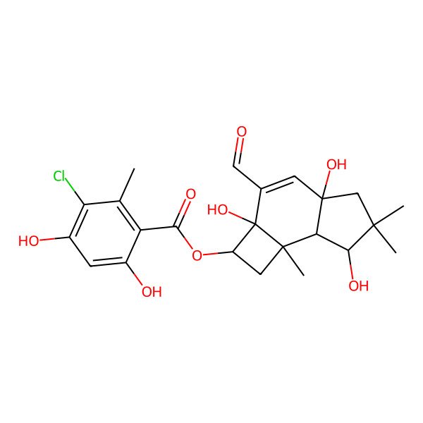 2D Structure of [(2R,2aS,4aS,7R,7aS,7bR)-3-formyl-2a,4a,7-trihydroxy-6,6,7b-trimethyl-2,5,7,7a-tetrahydro-1H-cyclobuta[e]inden-2-yl] 3-chloro-4,6-dihydroxy-2-methylbenzoate