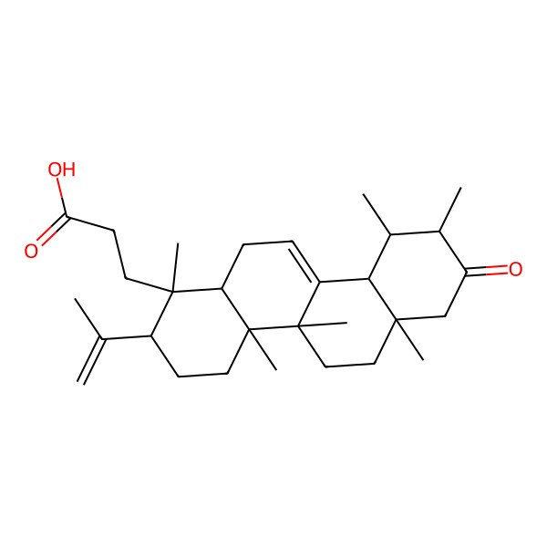 2D Structure of 3-[(1S,2S,4aR,4bS,6aS,9S,10R,10aR,12aR)-1,4a,4b,6a,9,10-hexamethyl-8-oxo-2-prop-1-en-2-yl-3,4,5,6,7,9,10,10a,12,12a-decahydro-2H-chrysen-1-yl]propanoic acid