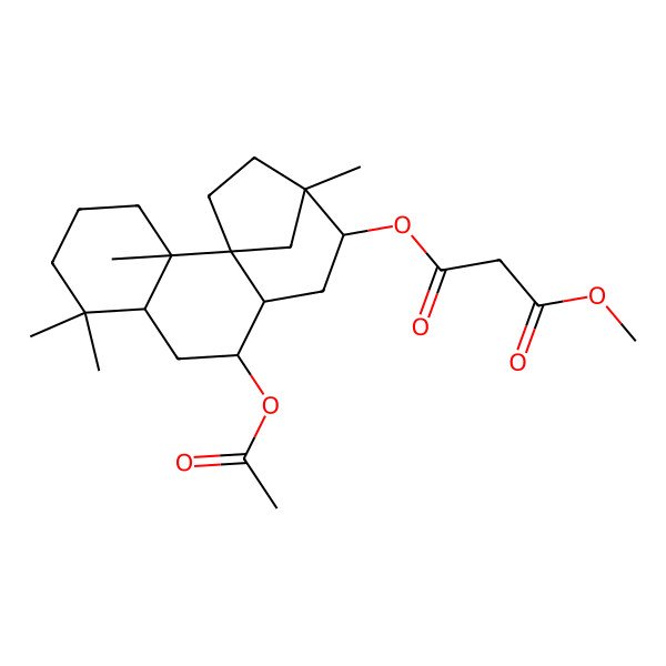 2D Structure of 3-O-(9-acetyloxy-2,6,6,13-tetramethyl-12-tetracyclo[11.2.1.01,10.02,7]hexadecanyl) 1-O-methyl propanedioate