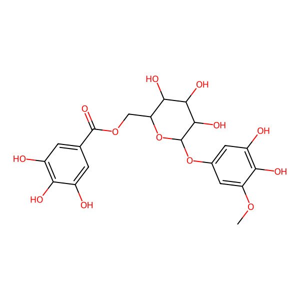 2D Structure of [(2R,3S,4S,5R,6S)-6-(3,4-dihydroxy-5-methoxyphenoxy)-3,4,5-trihydroxyoxan-2-yl]methyl 3,4,5-trihydroxybenzoate