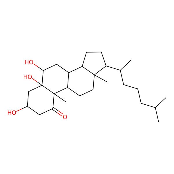 2D Structure of (3R,5R,6R,8S,9S,10R,13R,14S,17R)-3,5,6-trihydroxy-10,13-dimethyl-17-[(2R)-6-methylheptan-2-yl]-3,4,6,7,8,9,11,12,14,15,16,17-dodecahydro-2H-cyclopenta[a]phenanthren-1-one