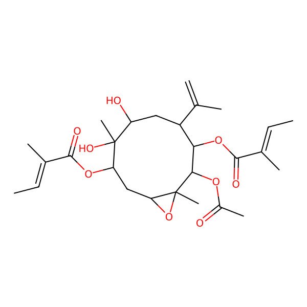 2D Structure of [(1R,3S,4S,5R,7R,8S,9S,10R)-9-acetyloxy-4,5-dihydroxy-4,10-dimethyl-8-[(Z)-2-methylbut-2-enoyl]oxy-7-prop-1-en-2-yl-11-oxabicyclo[8.1.0]undecan-3-yl] (Z)-2-methylbut-2-enoate