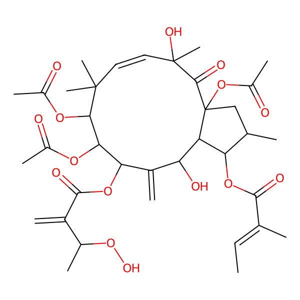 2D Structure of [(1S,2S,3aR,5R,6E,9S,10S,11S,13R,13aS)-3a,9,10-triacetyloxy-5,13-dihydroxy-2,5,8,8-tetramethyl-1-[(Z)-2-methylbut-2-enoyl]oxy-12-methylidene-4-oxo-1,2,3,9,10,11,13,13a-octahydrocyclopenta[12]annulen-11-yl] (3S)-3-hydroperoxy-2-methylidenebutanoate