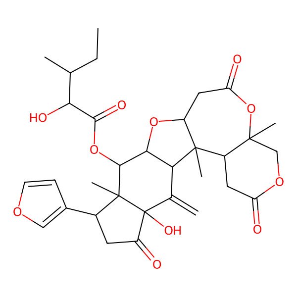 2D Structure of [7-(Furan-3-yl)-4-hydroxy-1,8,16-trimethyl-3-methylidene-5,14,19-trioxo-11,15,18-trioxapentacyclo[10.9.0.02,10.04,8.016,21]henicosan-9-yl] 2-hydroxy-3-methylpentanoate