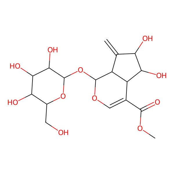 2D Structure of methyl (1S,4aS,5S,6R,7aS)-5,6-dihydroxy-7-methylidene-1-[(2S,3R,4S,5S,6R)-3,4,5-trihydroxy-6-(hydroxymethyl)oxan-2-yl]oxy-4a,5,6,7a-tetrahydro-1H-cyclopenta[c]pyran-4-carboxylate