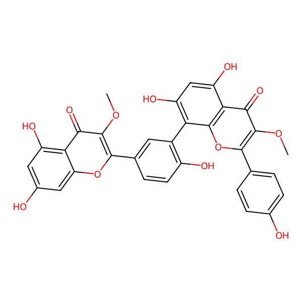 2D Structure of 8-[5-(5,7-Dihydroxy-3-methoxy-4-oxochromen-2-yl)-2-hydroxyphenyl]-5,7-dihydroxy-2-(4-hydroxyphenyl)-3-methoxychromen-4-one