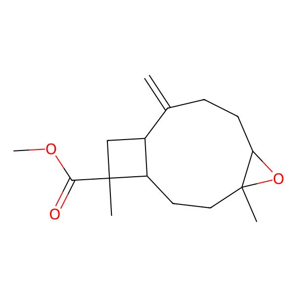 2D Structure of methyl (1S,4R,6R,10S,12R)-4,12-dimethyl-9-methylidene-5-oxatricyclo[8.2.0.04,6]dodecane-12-carboxylate