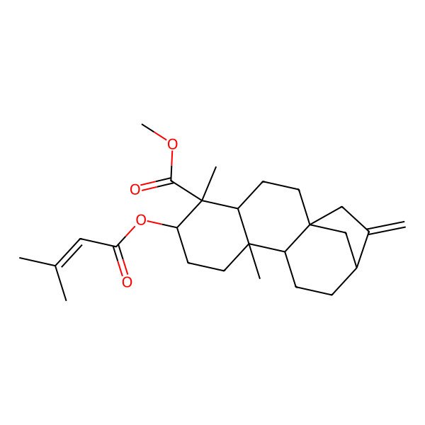 2D Structure of methyl (1S,4S,5S,6R,9S,10R,13R)-5,9-dimethyl-6-(3-methylbut-2-enoyloxy)-14-methylidenetetracyclo[11.2.1.01,10.04,9]hexadecane-5-carboxylate