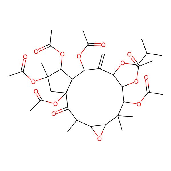 2D Structure of [1,8,12,14,15-Pentaacetyloxy-3,7,7,15-tetramethyl-11-methylidene-10-(2-methylpropoxy)-2-oxo-5-oxatricyclo[11.3.0.04,6]hexadecan-9-yl] acetate