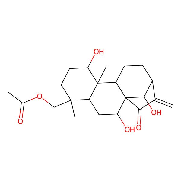 2D Structure of (2,8,16-Trihydroxy-5,9-dimethyl-14-methylidene-15-oxo-5-tetracyclo[11.2.1.01,10.04,9]hexadecanyl)methyl acetate