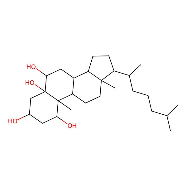 2D Structure of (1R,3S,5R,6R,8S,9S,10S,13R,14S,17R)-10,13-dimethyl-17-[(2R)-6-methylheptan-2-yl]-1,2,3,4,6,7,8,9,11,12,14,15,16,17-tetradecahydrocyclopenta[a]phenanthrene-1,3,5,6-tetrol