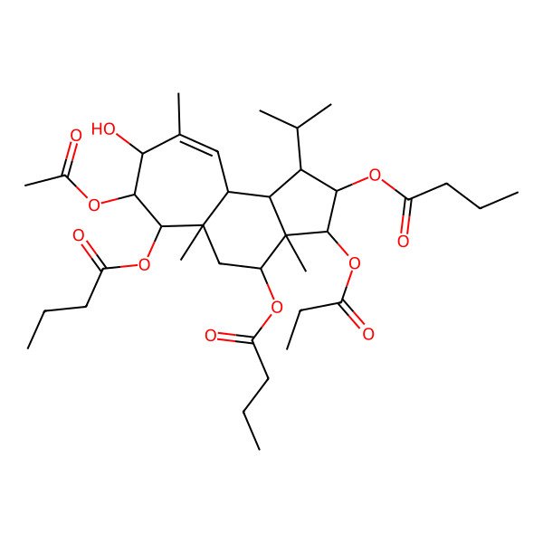 2D Structure of [(1R,2R,3R,3aR,4S,5aR,6S,7S,8S,10aS,10bR)-7-acetyloxy-2,6-di(butanoyloxy)-8-hydroxy-3a,5a,9-trimethyl-3-propanoyloxy-1-propan-2-yl-1,2,3,4,5,6,7,8,10a,10b-decahydrocyclohepta[e]inden-4-yl] butanoate