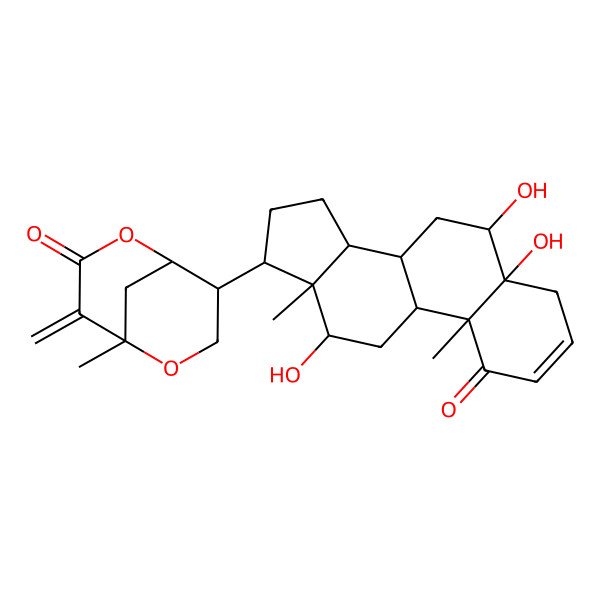 2D Structure of (1R,5R,8R)-5-methyl-4-methylidene-8-[(5R,6R,8S,9S,10R,12R,13S,14S,17R)-5,6,12-trihydroxy-10,13-dimethyl-1-oxo-6,7,8,9,11,12,14,15,16,17-decahydro-4H-cyclopenta[a]phenanthren-17-yl]-2,6-dioxabicyclo[3.3.1]nonan-3-one