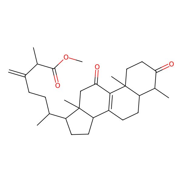 2D Structure of methyl (2S,6R)-2-methyl-3-methylidene-6-[(4S,5S,10S,13R,14R,17R)-4,10,13-trimethyl-3,11-dioxo-2,4,5,6,7,12,14,15,16,17-decahydro-1H-cyclopenta[a]phenanthren-17-yl]heptanoate