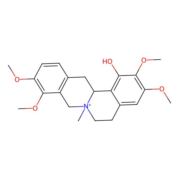 2D Structure of (7S,13aS)-2,3,9,10-tetramethoxy-7-methyl-6,8,13,13a-tetrahydro-5H-isoquinolino[2,1-b]isoquinolin-7-ium-1-ol
