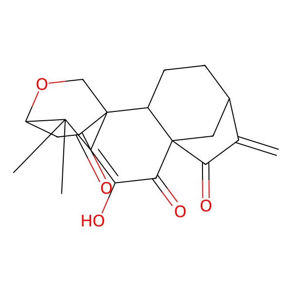 2D Structure of 10-Hydroxy-12,12-dimethyl-6-methylidene-14-oxapentacyclo[11.2.2.15,8.01,11.02,8]octadec-10-ene-7,9,16-trione