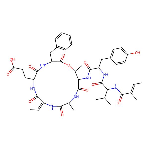 2D Structure of 3-[3-Benzyl-9-ethylidene-15-[[3-(4-hydroxyphenyl)-2-[[3-methyl-2-(2-methylbut-2-enoylamino)butanoyl]amino]propanoyl]amino]-12,16-dimethyl-2,5,8,11,14-pentaoxo-1-oxa-4,7,10,13-tetrazacyclohexadec-6-yl]propanoic acid