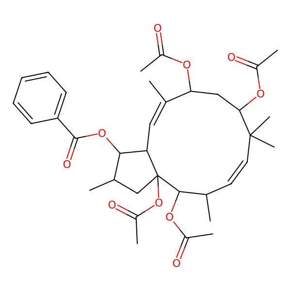 2D Structure of [(1S,2S,3aR,4S,5S,6Z,9R,11R,12Z,13aS)-3a,4,9,11-tetraacetyloxy-2,5,8,8,12-pentamethyl-2,3,4,5,9,10,11,13a-octahydro-1H-cyclopenta[12]annulen-1-yl] benzoate