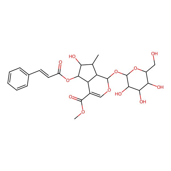2D Structure of Methyl 6-hydroxy-7-methyl-5-(3-phenylprop-2-enoyloxy)-1-[3,4,5-trihydroxy-6-(hydroxymethyl)oxan-2-yl]oxy-1,4a,5,6,7,7a-hexahydrocyclopenta[c]pyran-4-carboxylate