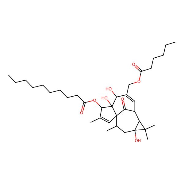 2D Structure of [7-(Hexanoyloxymethyl)-5,6,12-trihydroxy-3,11,11,14-tetramethyl-15-oxo-4-tetracyclo[7.5.1.01,5.010,12]pentadeca-2,7-dienyl] decanoate