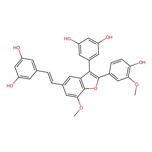 2D Structure of 5-[(E)-2-[3-(3,5-dihydroxyphenyl)-2-(4-hydroxy-3-methoxyphenyl)-7-methoxy-1-benzofuran-5-yl]ethenyl]benzene-1,3-diol