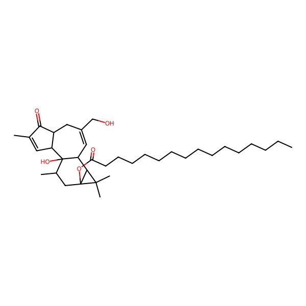 2D Structure of [1-Hydroxy-8-(hydroxymethyl)-4,12,12,15-tetramethyl-5-oxo-13-tetracyclo[8.5.0.02,6.011,13]pentadeca-3,8-dienyl] hexadecanoate