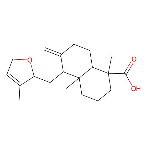 2D Structure of (1S,4aR,5R,8aR)-1,4a-dimethyl-5-[[(2S)-3-methyl-2,5-dihydrofuran-2-yl]methyl]-6-methylidene-3,4,5,7,8,8a-hexahydro-2H-naphthalene-1-carboxylic acid