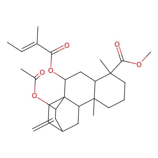 2D Structure of methyl (1R,2S,4S,5R,9S,10S,12S,14R)-14-acetyloxy-5,9-dimethyl-2-[(Z)-2-methylbut-2-enoyl]oxy-13-methylidenetetracyclo[10.2.2.01,10.04,9]hexadecane-5-carboxylate