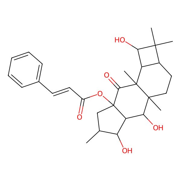 2D Structure of [(1R,2R,3R,4S,5S,7R,9S,10R,11R,13S)-2,4,11-trihydroxy-1,5,9,12,12-pentamethyl-8-oxo-7-tetracyclo[7.6.0.03,7.010,13]pentadecanyl] (E)-3-phenylprop-2-enoate