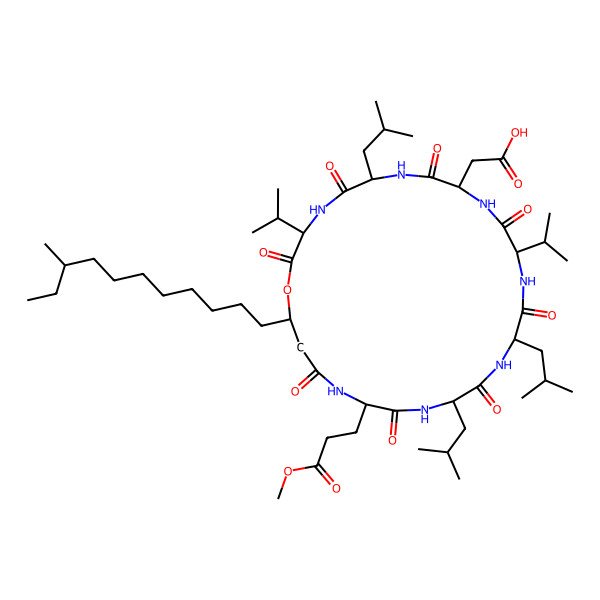 2D Structure of 2-[(3S,6R,9S,12S,15R,18S,21S,25R)-21-(3-methoxy-3-oxopropyl)-6,15,18-tris(2-methylpropyl)-25-(9-methylundecyl)-2,5,8,11,14,17,20,23-octaoxo-3,12-di(propan-2-yl)-1-oxa-4,7,10,13,16,19,22-heptazacyclopentacos-9-yl]acetic acid